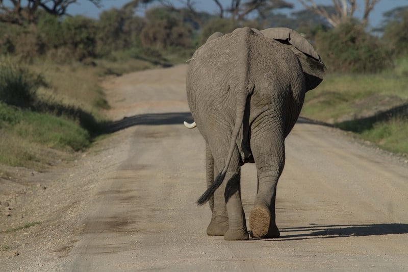Kruger National Park